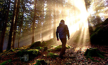 Bayerischer Wald